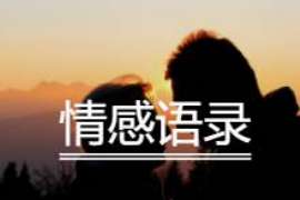 天峨婚外情调查取证：涉外离婚案件中需提交的材料